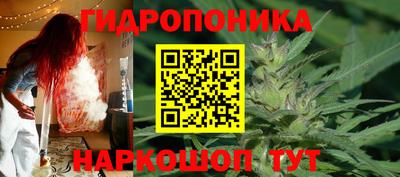 шишки Можайск