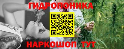 шишки Можайск